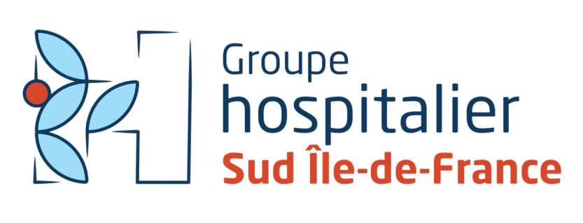 Logo GHSIF